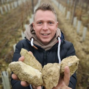 Weinbau Strommer, Burgenland, strig